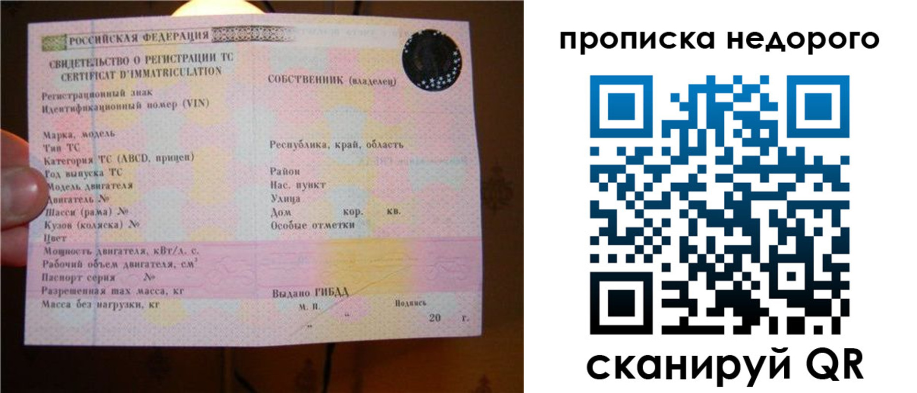 миграционный учет в Димитровграде